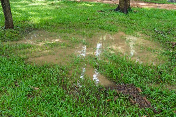 Cost of Storm Water Drainage Service in Marysville