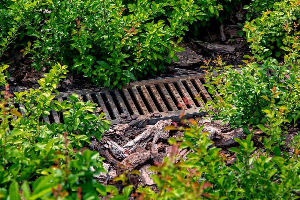 Cost of Underground Drainage Service in Marysville