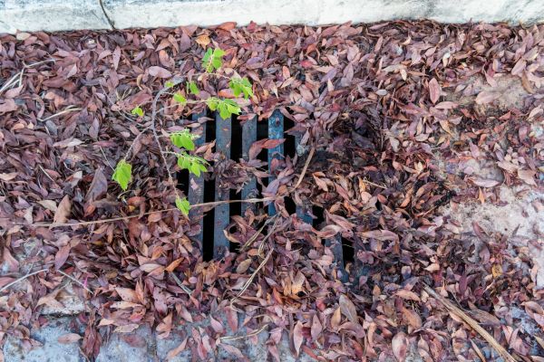 Cost of Yard Drain Unclogging in Marysville