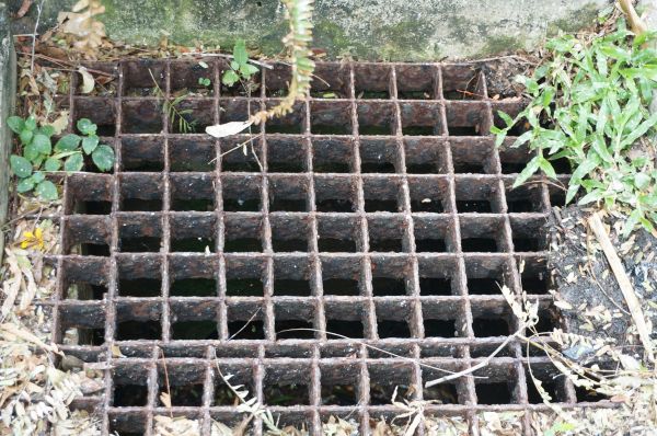 Cost of Yard Drain Cleaning in Marysville