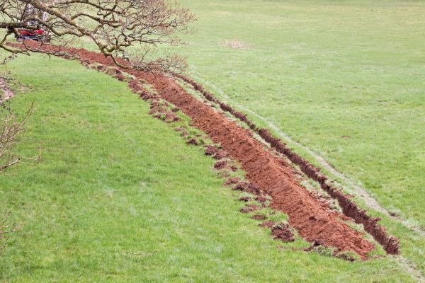 Cost of Swale Installation in Marysville