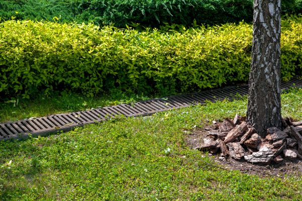Cost of Residential Landscape Drainage in Marysville