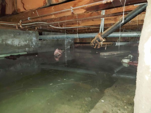 Cost of Crawlspace Drainage in Marysville
