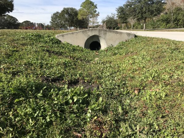 Cost of Swale Drainage Service in Marysville